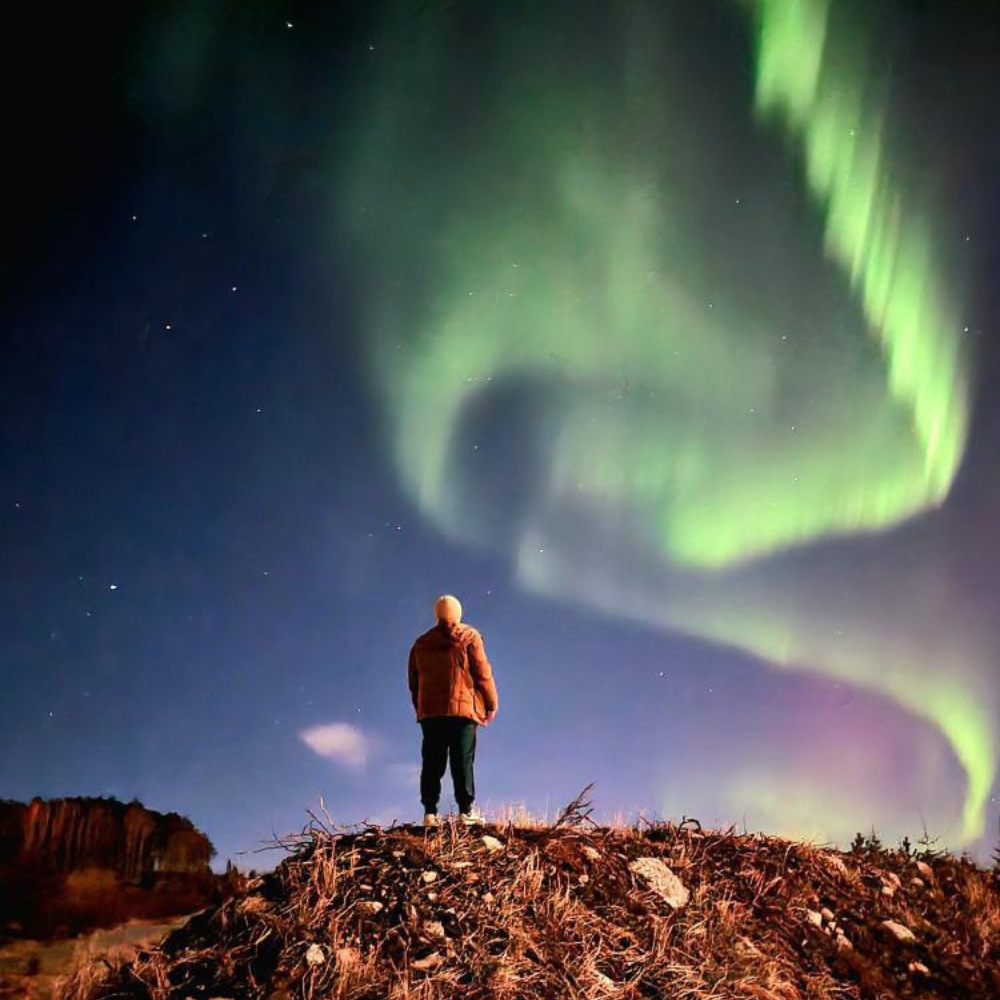 Din Moldova în Norvegia: Povestea călătoriei mele spre meseria de crab