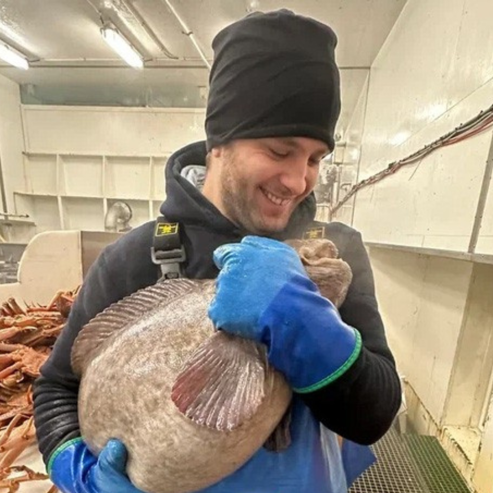 Cum să obțineți un loc de muncă într-o fabrică de pește în Norvegia? De ce fabricile de pește sunt o alegere excelentă pentru un nou-venit